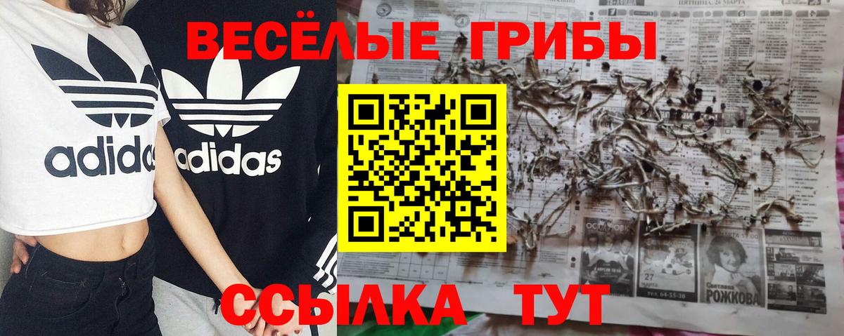 Богородицк  Псилоцибиновые грибы Magic Shrooms  Вход с VPN 