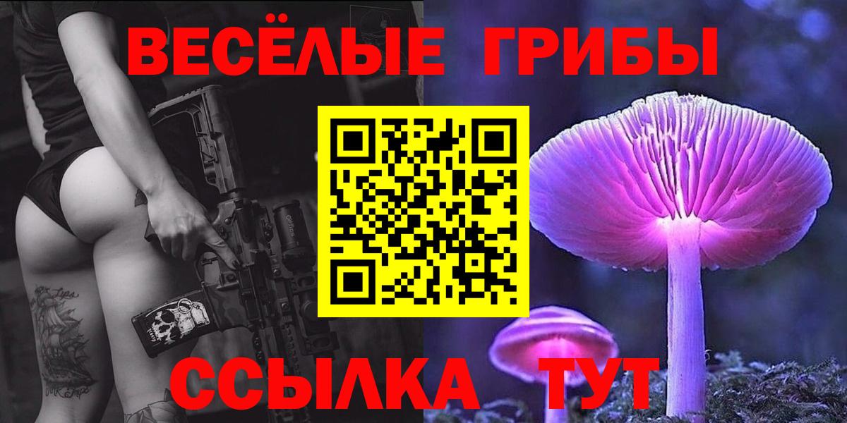 Псилоцибиновые грибы мицелий Богородицк